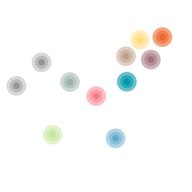 Amokka® Coffee Compass